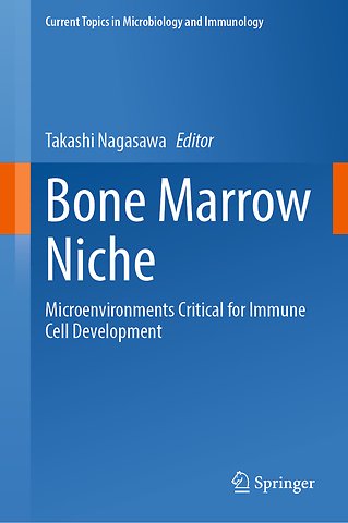 Bone Marrow Niche