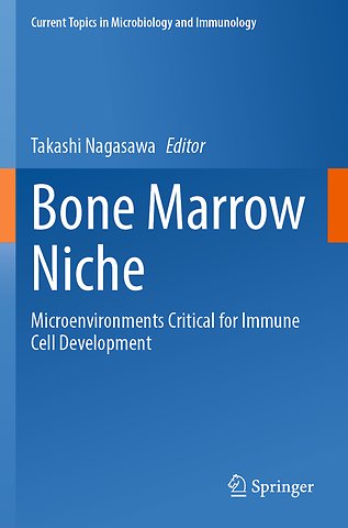 Bone Marrow Niche