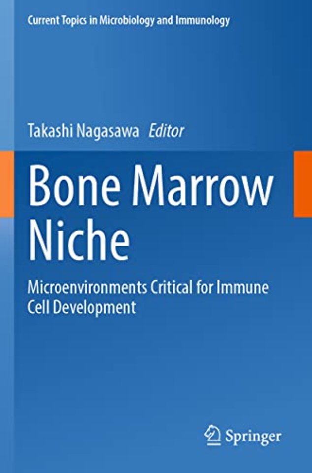 Bone Marrow Niche