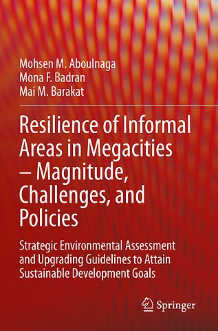 Resilience of Informal Areas in Megacities – Magnitude, Challenges, and Policies