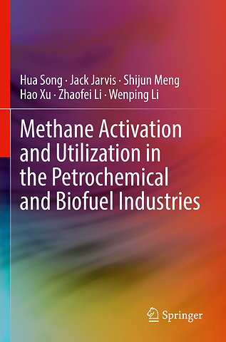 Methane Activation and Utilization in the Petrochemical and Biofuel Industries