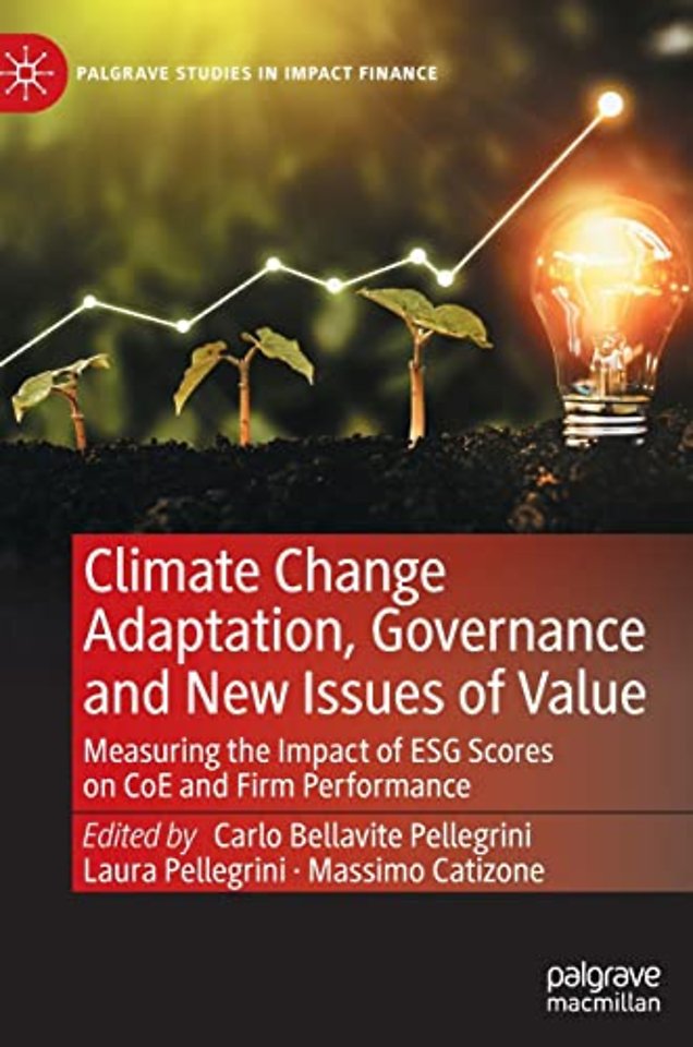 Climate Change Adaptation, Governance and New Issues of Value