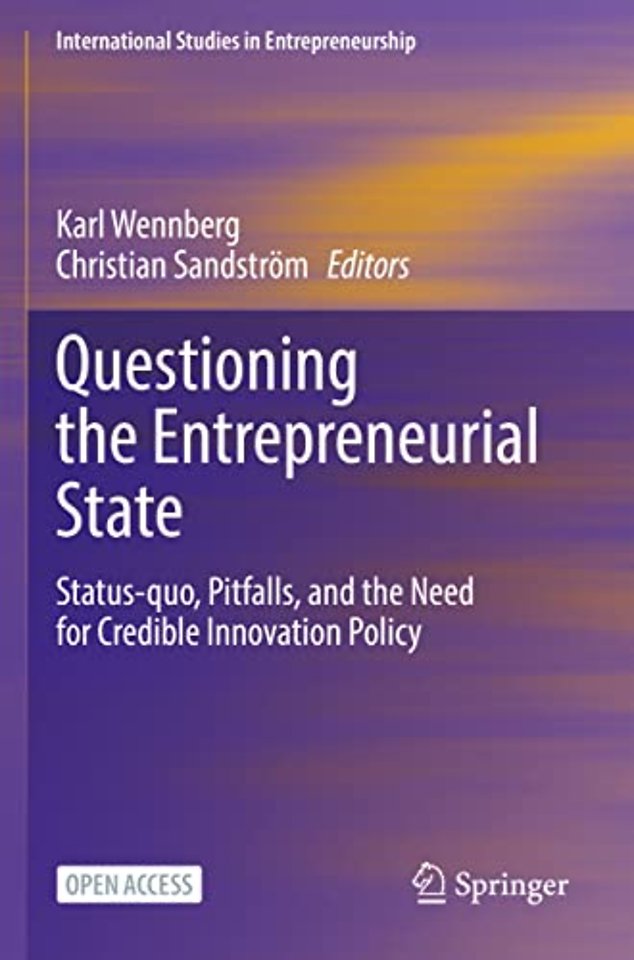 Questioning the Entrepreneurial State