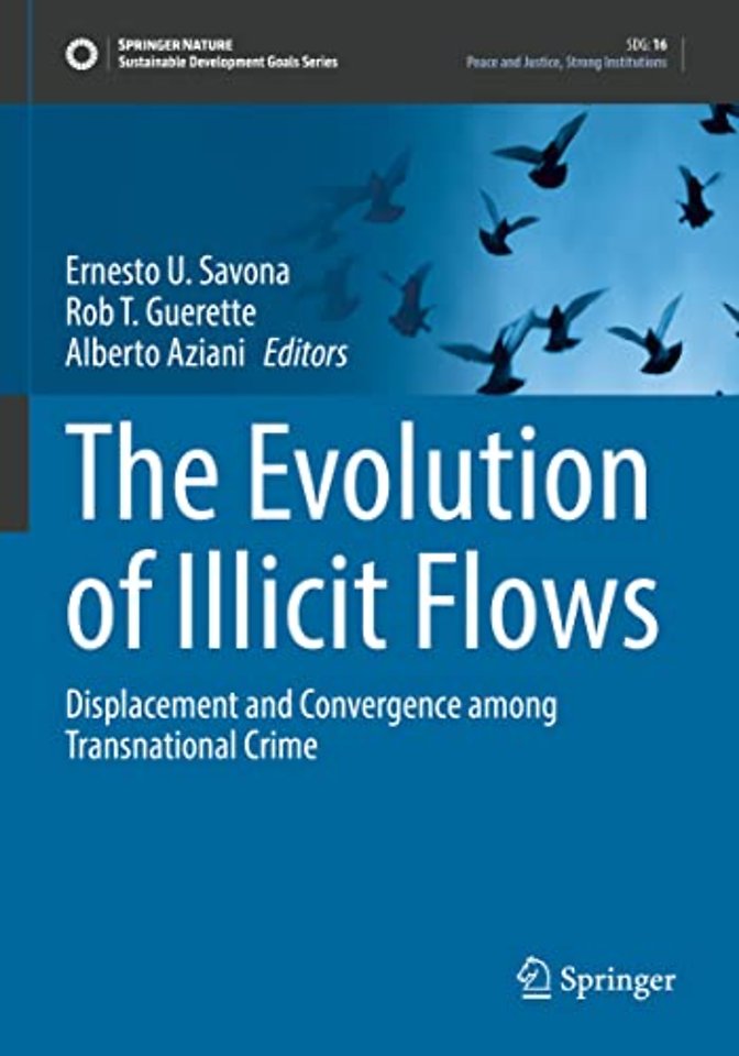 The Evolution of Illicit Flows