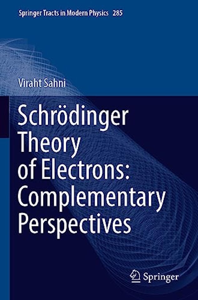 Schrödinger Theory of Electrons: Complementary Perspectives