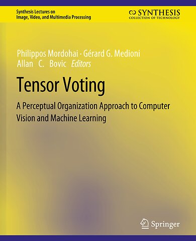Tensor Voting