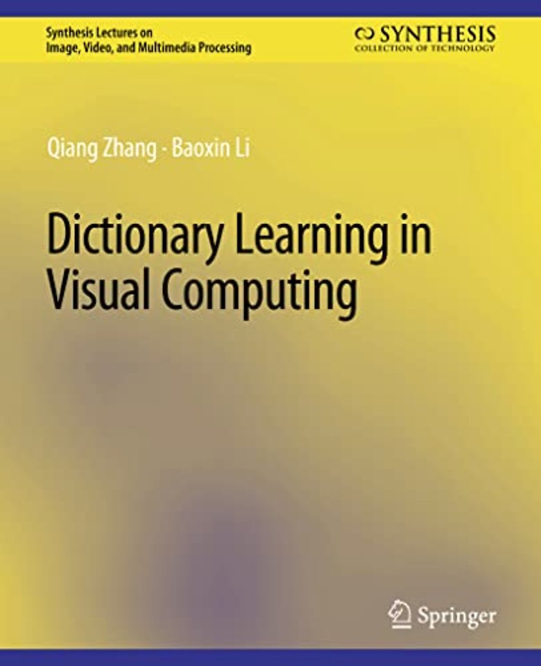 Dictionary Learning in Visual Computing