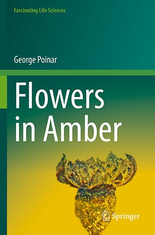 Flowers in Amber