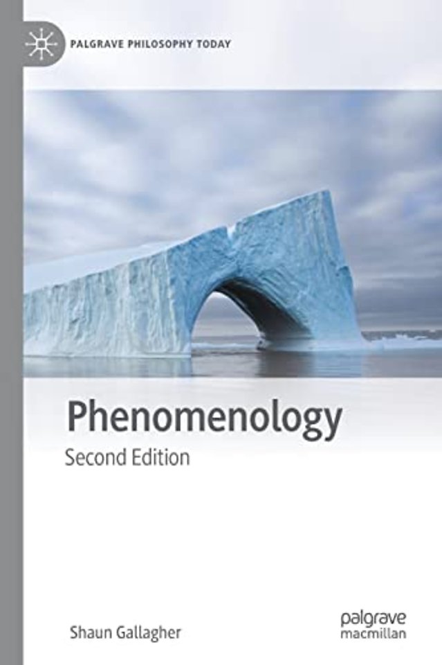Phenomenology