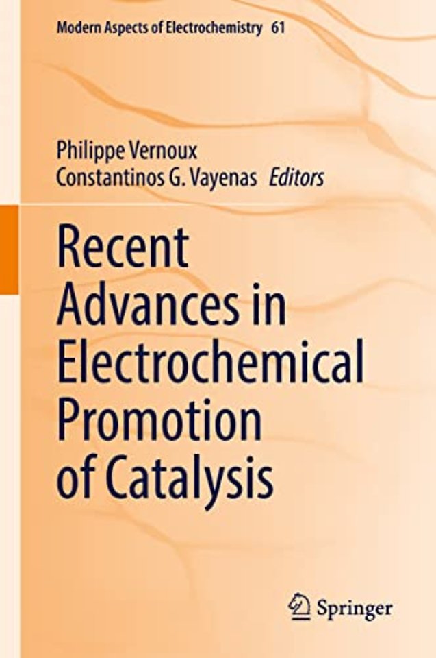 Recent Advances in Electrochemical Promotion of Catalysis