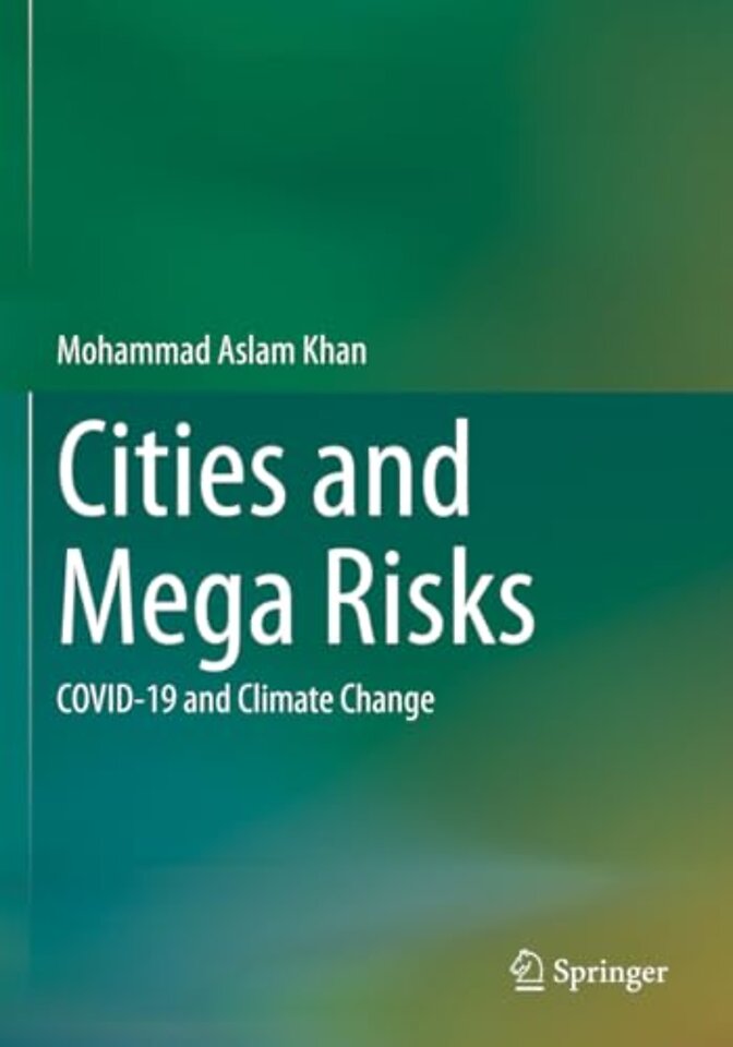 Cities and Mega Risks
