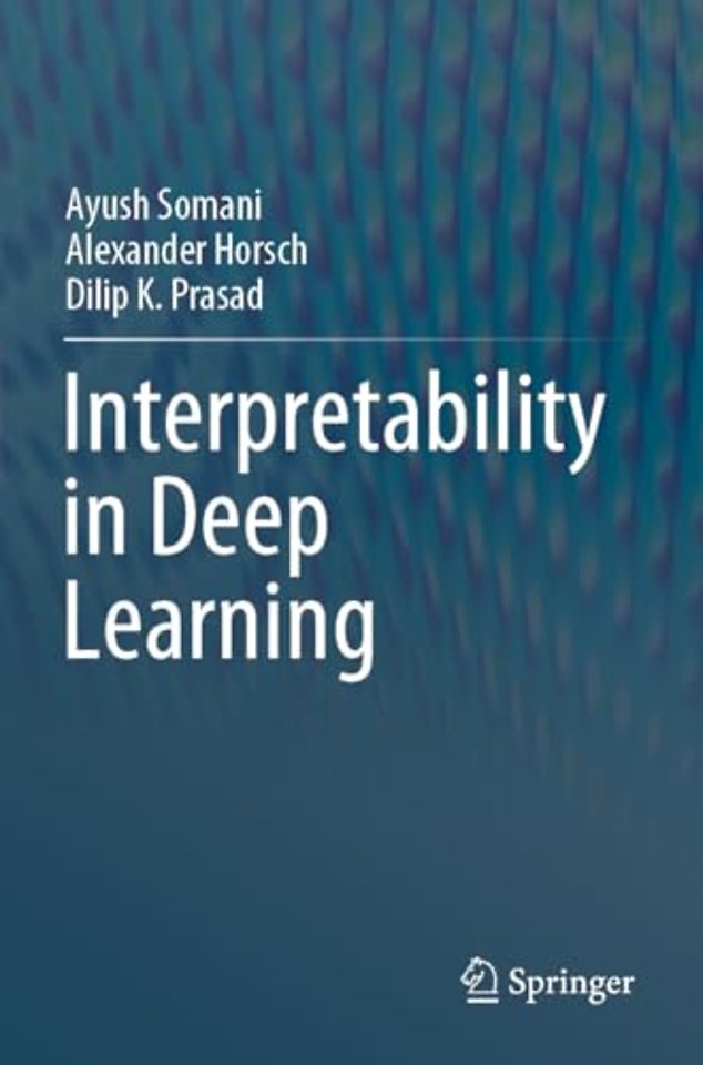 Interpretability in Deep Learning
