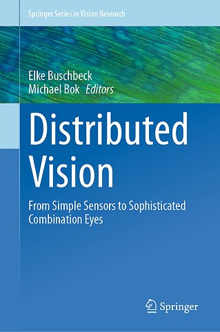 Distributed Vision