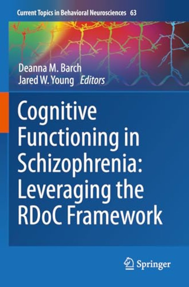 Cognitive Functioning in Schizophrenia:  Leveraging the RDoC Framework