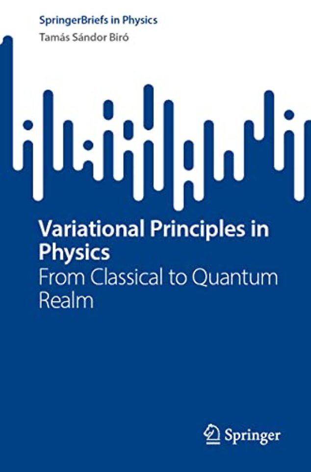 Variational Principles in Physics