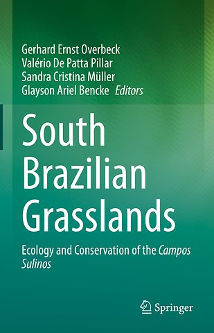 South Brazilian Grasslands