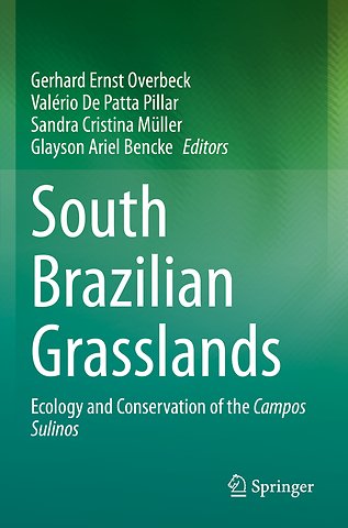 South Brazilian Grasslands