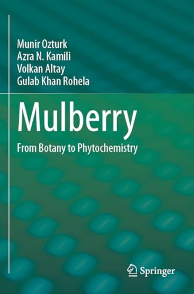 Mulberry
