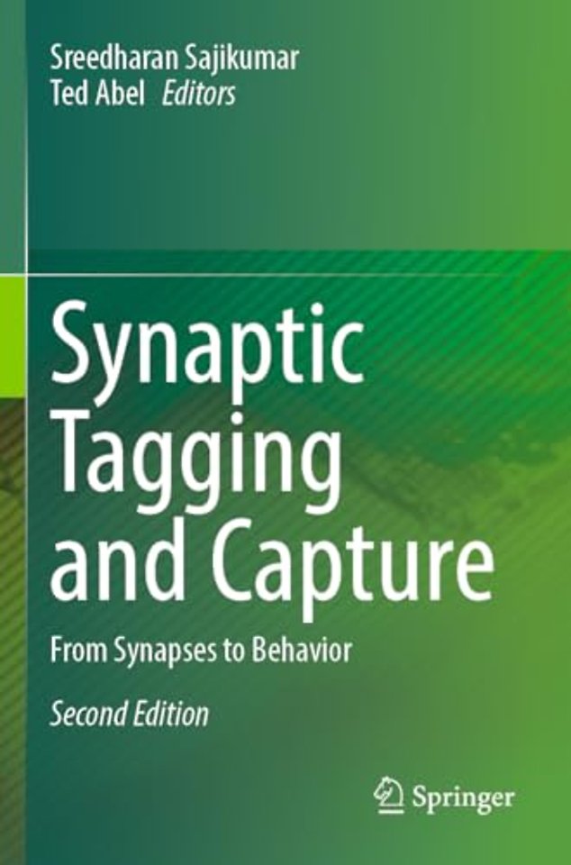 Synaptic Tagging and Capture