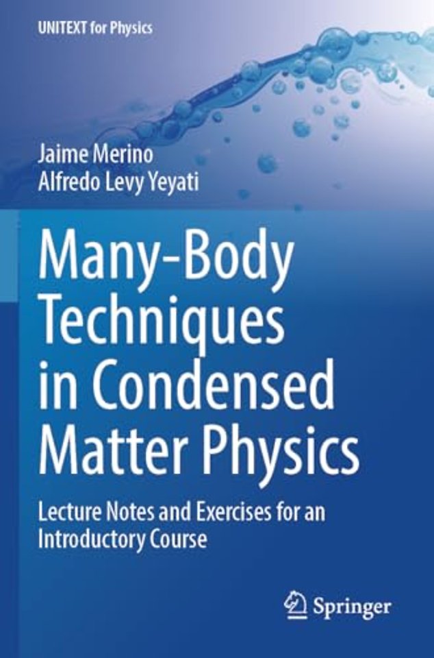 Many-Body Techniques in Condensed Matter Physics