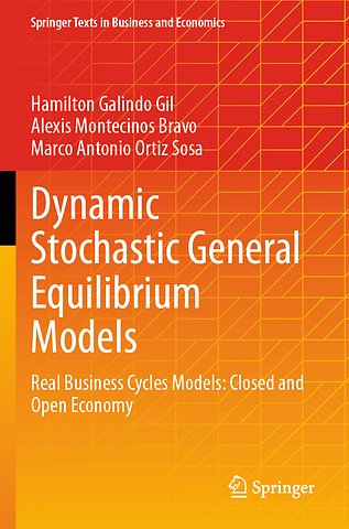 Dynamic Stochastic General Equilibrium Models