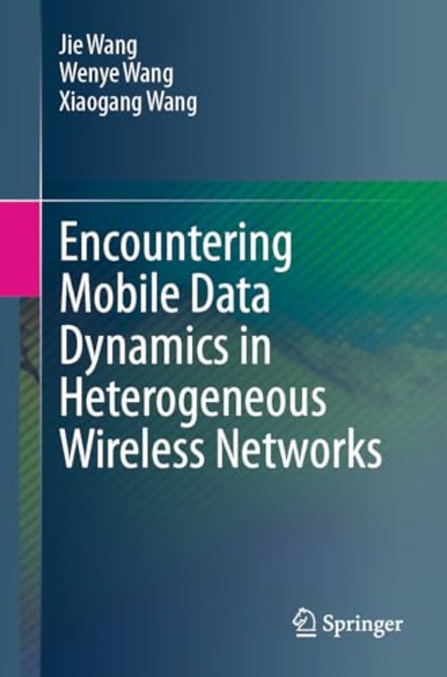 Encountering Mobile Data Dynamics in Heterogeneous Wireless Networks