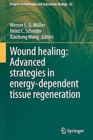 Wound healing: Advanced strategies in energy-dependent tissue regeneration