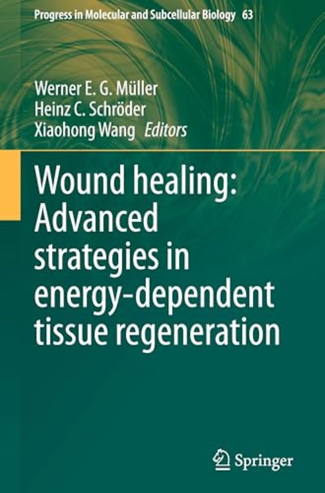 Wound healing: Advanced strategies in energy-dependent tissue regeneration