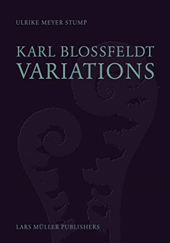 Karl Blossfeldt: Variations