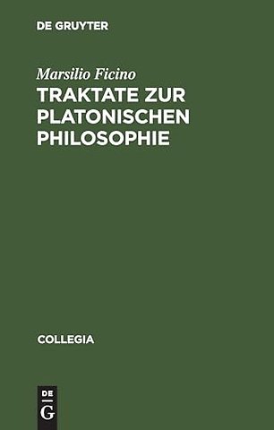 Traktate zur Platonischen Philosophie