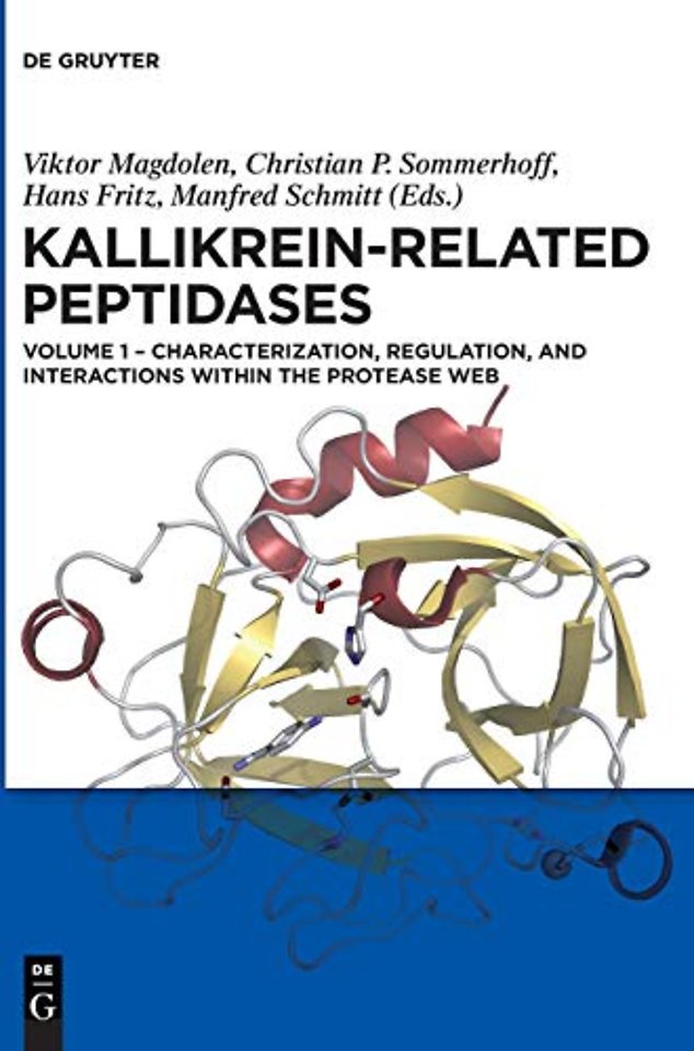 Characterization, regulation, and interactions within the protease web
