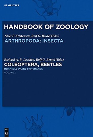Morphology and Systematics – Phytophaga