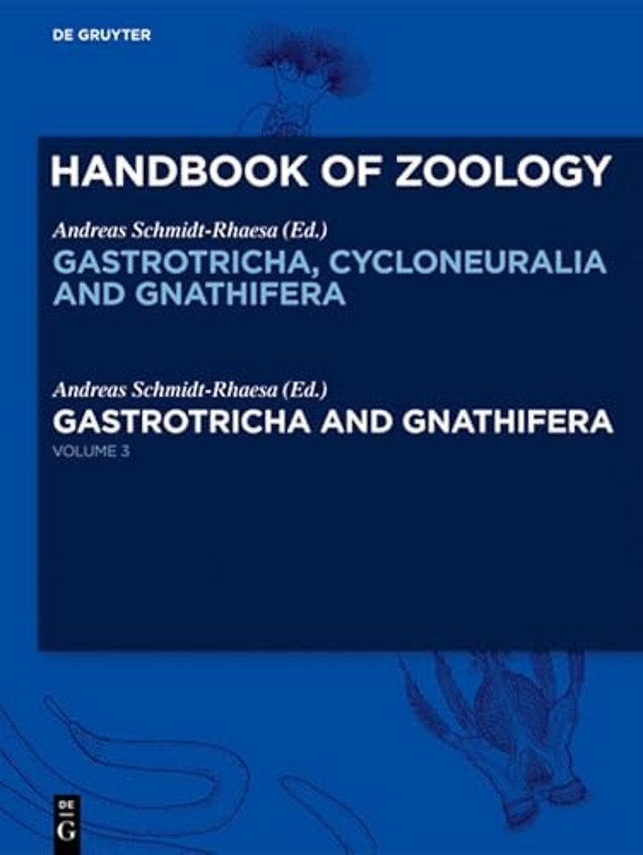 Gastrotricha and Gnathifera