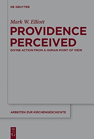 Providence Perceived – Divine Action from a Human Point of View