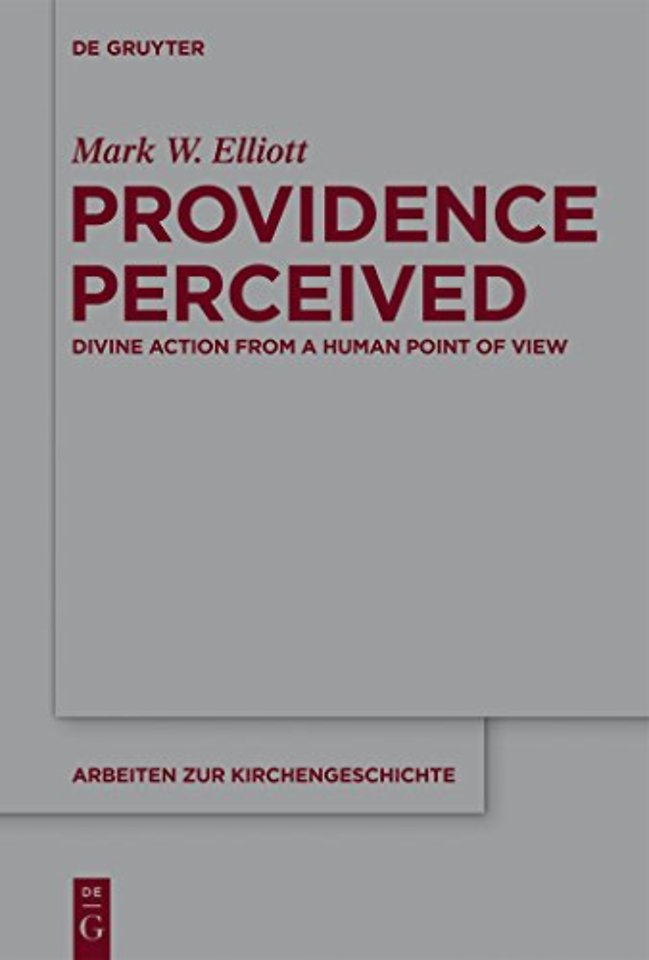 Providence Perceived – Divine Action from a Human Point of View
