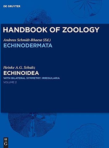 Echinoidea – with bilateral symmetry. Irregularia