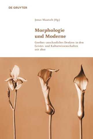 Morphologie und Moderne