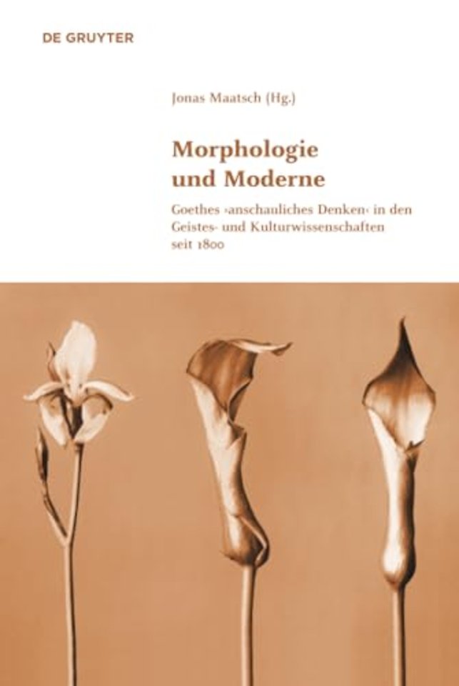 Morphologie und Moderne