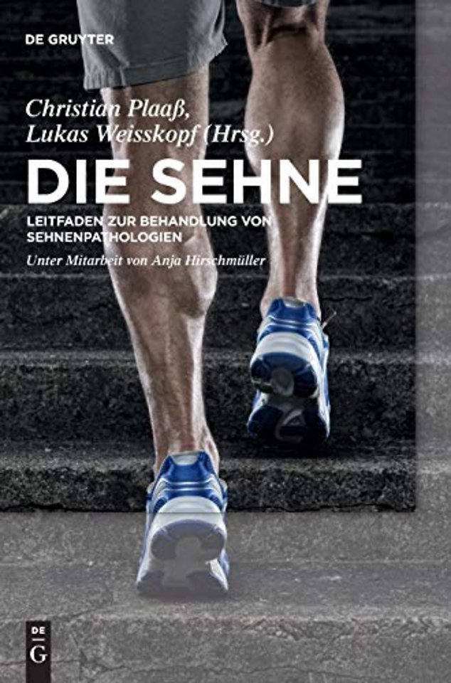 Die Sehne – Leitfaden zur Behandlung von Sehnenpathologien
