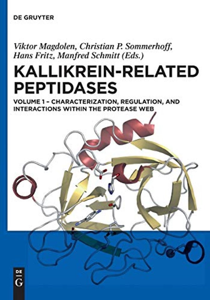 Characterization, regulation, and interactions within the protease web