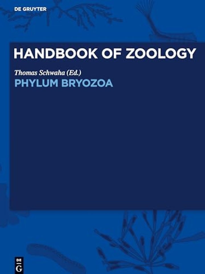 Phylum Bryozoa