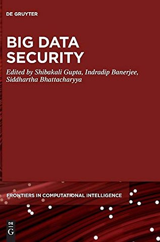 Big Data Security