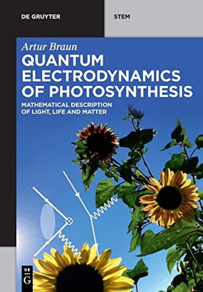 Quantum Electrodynamics of Photosynthesis – Mathematical Description of Light, Life and Matter