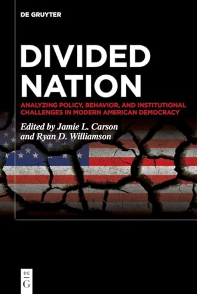 Divided Nation – Analyzing Policy, Behavior, and Institutional Challenges in Modern American Democracy