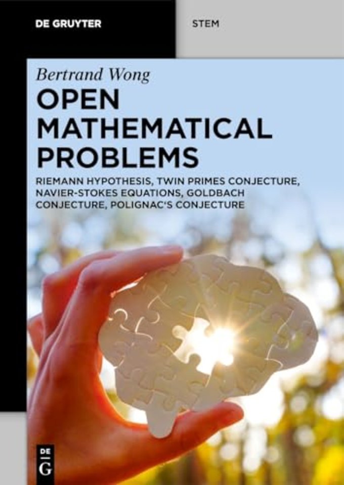Open Mathematical Problems – Riemann Hypothesis, Twin Primes Conjecture, Navier–Stokes Equations, Goldbach Conjecture, Polignac`s Conjecture
