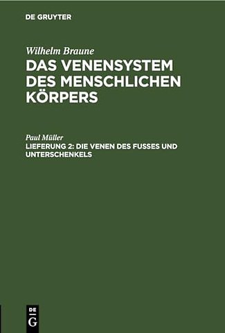 Die Venen Des Fusses Und Unterschenkels