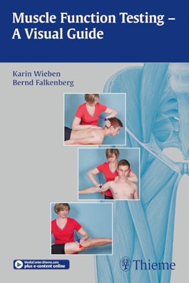 Muscle Function Testing – a Visual Guide