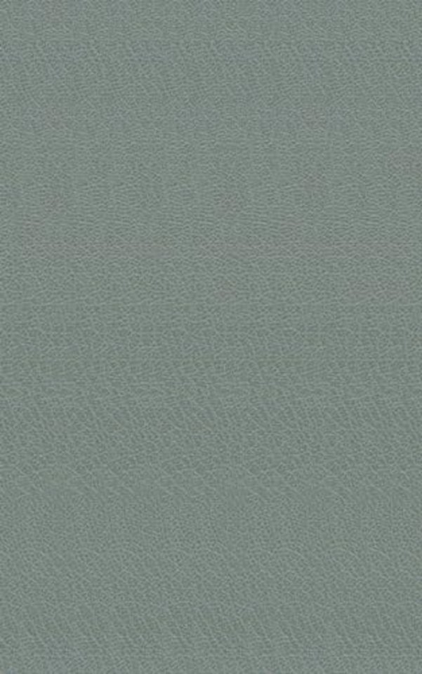 Amadis (Newe Historia Vom Amadis auss Franckreich...)