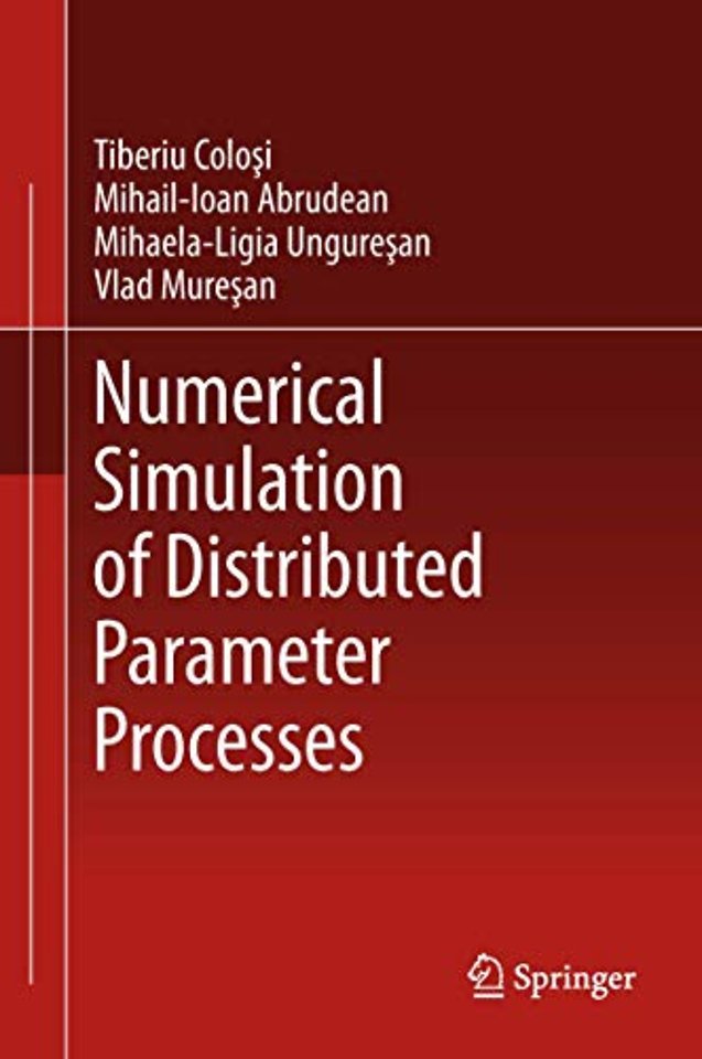 Numerical Simulation of Distributed Parameter Processes