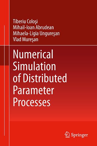 Numerical Simulation of Distributed Parameter Processes
